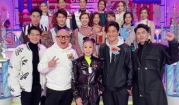 爆料男星视频下载安装免费,免费下载爆料男星视频，安装神秘软件背后的真相